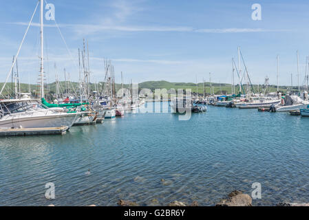 Bodega Bay, CA, UCE - marzo 23 2016: barche e yacht su Bodega Bay, california, città dove girato gli uccelli di Alfred Hitchcock Foto Stock