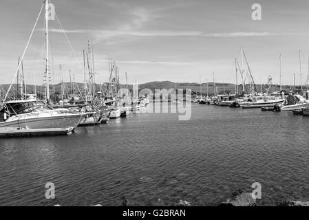 Bodega Bay, CA, UCE - marzo 23 2016: barche e yacht su Bodega Bay, california, città dove girato gli uccelli di Alfred Hitchcock Foto Stock