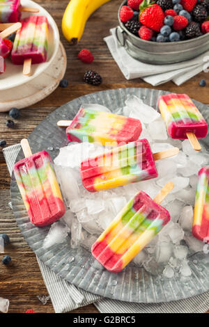 Una sana in casa Rainbow Popsicles con frutti assortiti Foto Stock