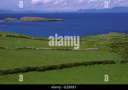 Campagna nella penisola di Beara, County Cork, Irlanda Foto Stock