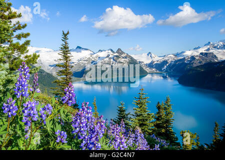 Garibaldi lago dal panorama Ridge, Garibaldi Provincial Park, British Columbia, Canada Foto Stock