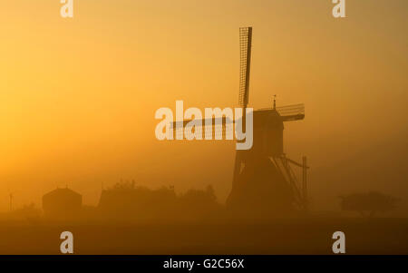 Foggy sunrise vicino al mulino Wingerdse in Bleskensgraaf nella regione olandese Alblasserwaard Foto Stock