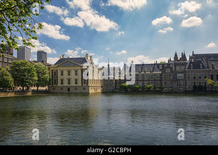 Galleria Reale Mauritshuis, Museo dell'Aia, Paesi Bassi. Foto Stock