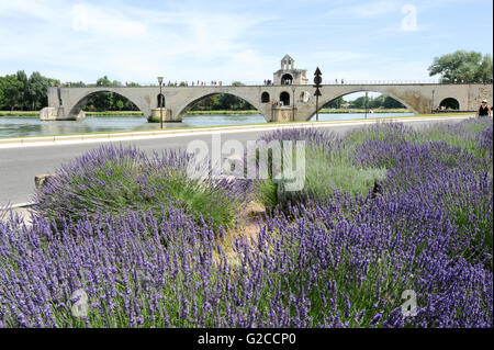 Avignon, Francia - 24 Giugno 2012: la gente a piedi nella parte anteriore del ponte St-Benezet ad Avignone in Francia Foto Stock