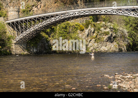 Craigellachie ponte sopra il fiume Spey a Craigellachie. Foto Stock