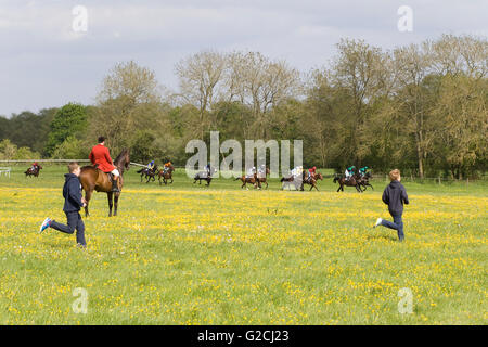 I bambini in esecuzione passato un Huntsman sul suo cavallo in un campo di renoncules guardando una delle corse ippiche passato al galoppo Foto Stock