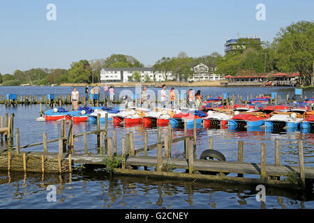 Lago, Bad Zwischenahn, Bassa Sassonia, Germania Foto Stock