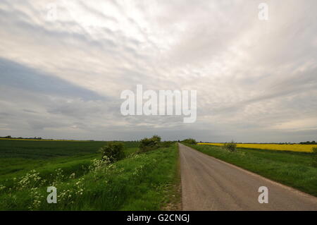 Holland Fen Lincolnshire, in Inghilterra , guardando a nord-ovest dalla griglia OS 246467 Foto Stock