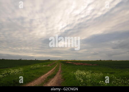 Holland Fen Fenland Lincolnshire England Regno Unito, guardando a nord-ovest dalla griglia OS 215511 Foto Stock