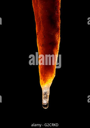 Stalattiti di paglia con acqua goccioli sulla punta, Grotta Impossibile, Italia Foto Stock