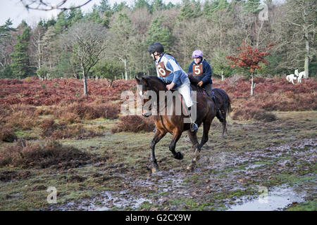 Piloti inizio il miglio e mezzo start Boxing Day punto-punto rosso luogo vicino a Burley New Forest National Park Hampshire Eng Foto Stock