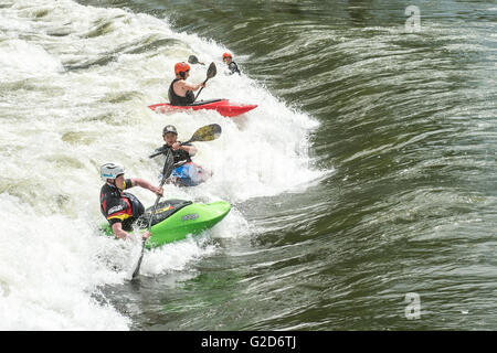 Plattling, Germania. 28 Maggio, 2016. Canoa freestyler pala sul fiume Isar durante la canoa Freestyle Campionati Europei in Plattling, Germania, 28 maggio 2016. 111 canoisti da 14 paesi sono in competizione nella canoa Freestyle Campionati Europei. Foto: ARMIN WEIGEL/dpa/Alamy Live News Foto Stock