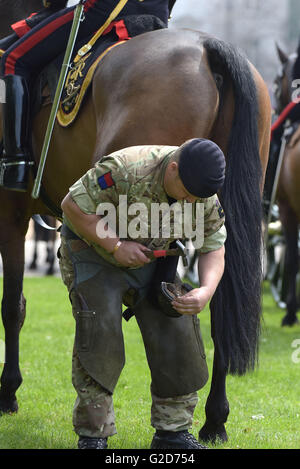 Londra, Regno Unito. 28 Maggio, 2016.un maniscalco scarpe nuovamente un cavallo durante la parata. Il Maggiore Generale E.A. Smyth-Osborne, CBE Maggiore Generale comandando la divisione di uso domestico e comandante generale distretto di Londra, assume la salute presso il maggiore generale della revisione. La revisione è tenuto due settimane prima che il Trooping il colore e il compleanno del Queens Parade e è un pieno di prove abito per Trooping il colore. 28 maggio 2016 Credit: MARTIN DALTON/Alamy Live News Foto Stock