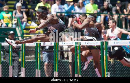 Eugene, Stati Uniti d'America. 28 Maggio, 2016. Omar Mcleod(1st, L) della Giamaica compete durante gli uomini di 110 metri ostacoli finale al 2016 IAAF Diamond League in Eugene, Stati Uniti, il 28 maggio 2016. Omar Mcleod rivendicato il titolo con 13,06 secondi. © Yang Lei/Xinhua/Alamy Live News Foto Stock