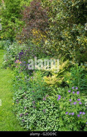 Un cottage Inglese giardino verso la fine di maggio con un abbondanza di piantumazione informale. Foto Stock