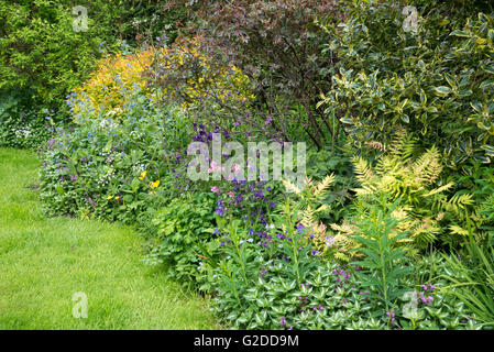 Un cottage Inglese giardino verso la fine di maggio con un abbondanza di piantumazione informale. Arbusti e piante perenni combinati in un confine. Foto Stock