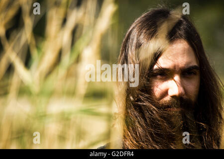Ritratto di giovane uomo adulto con barba e capelli lunghi in piedi nel campo di grano Foto Stock