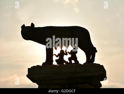 Lupo capitolino statua in bronzo con romano gemelli Romolo e Remo silhouette sparare all alba del Campidoglio, nel centro di R Foto Stock