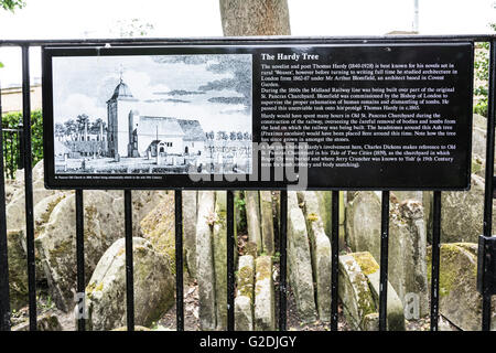 Lapidi impacchettata intorno alla struttura di Hardy nel vecchio St Pancras sagrato, St Pancras, London, England, Regno Unito Foto Stock