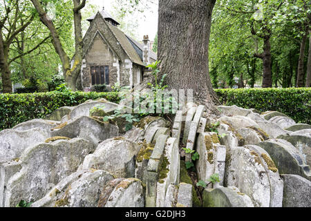 Testoni impaccati intorno all'albero di Thomas Hardy in Old St Pancras Churchyard, St Pancras, Londra, Camden, Inghilterra, REGNO UNITO Foto Stock