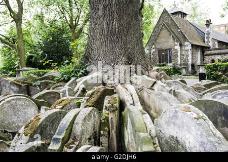 Lapidi impacchettata intorno alla struttura di Hardy nel vecchio St Pancras sagrato, St Pancras, London, England, Regno Unito Foto Stock