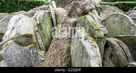 Lapidi impacchettata intorno alla struttura di Hardy nel vecchio St Pancras sagrato, St Pancras, London, England, Regno Unito Foto Stock