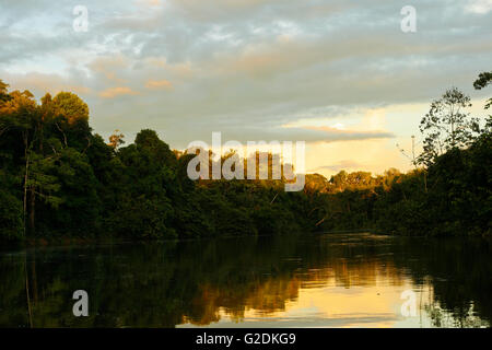 Yavari fiume. Riserva Matses. Amazon, Perù Foto Stock