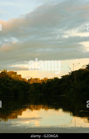 Yavari fiume. Riserva Matses. Amazon, Perù Foto Stock