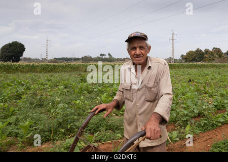 Coltivatore di tabacco in Vinales, Pinar de Rio, Cuba Foto Stock