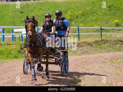 Carrozza pullman tra le stazioni di gara presso il corso del terreno le gare a Dillenburg in Germania Foto Stock