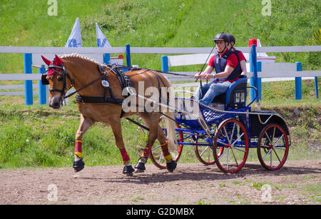 Carrozza pullman tra le stazioni di gara presso il corso del terreno le gare a Dillenburg in Germania Foto Stock