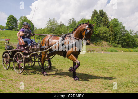 Carrozza pullman tra le stazioni di gara presso il corso del terreno le gare a Dillenburg in Germania Foto Stock