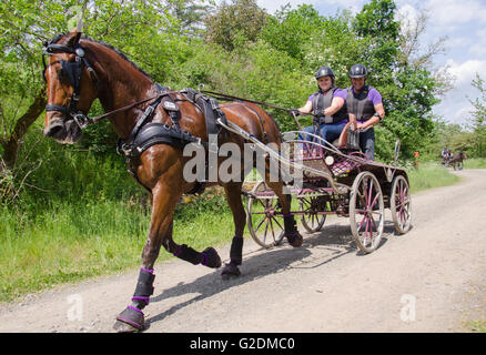 Carrozza pullman tra le stazioni di gara presso il corso del terreno le gare a Dillenburg in Germania Foto Stock