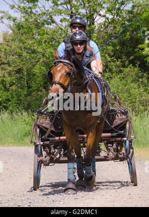 Carrozza pullman tra le stazioni di gara presso il corso del terreno le gare a Dillenburg in Germania Foto Stock