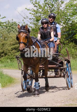 Carrozza pullman tra le stazioni di gara presso il corso del terreno le gare a Dillenburg in Germania Foto Stock