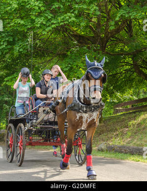 Carrozza pullman tra le stazioni di gara Foto Stock