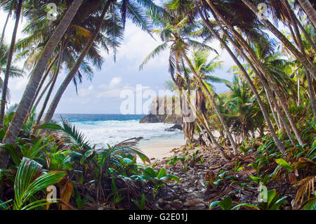 Spiaggia di Dolly, un appartato e la bellissima spiaggia sul isola di Natale, territorio australiano Foto Stock