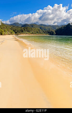 La baia di ancoraggio, il Parco nazionale Abel Tasman nelson, Isola del Sud, Nuova Zelanda Foto Stock