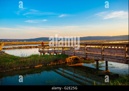 La Slovenia Costa e Kars Secovlje Salina Foto Stock