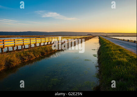 La Slovenia Costa e Kars Secovlje Salina Foto Stock