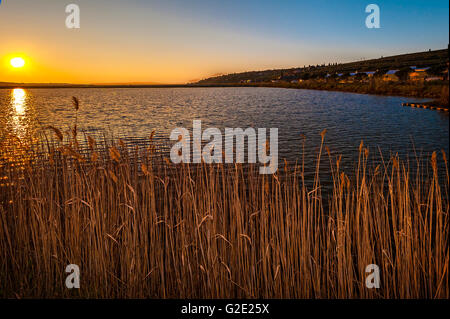 La Slovenia Costa e Kars Secovlje Salina Foto Stock