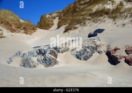 Lewisian Gneiss Rocce ricoperte di sabbia sulla Uig Bay (Camas Uig) sul Nord Harris, Ebridi Esterne, Western Isles, Scotland, Regno Unito Foto Stock