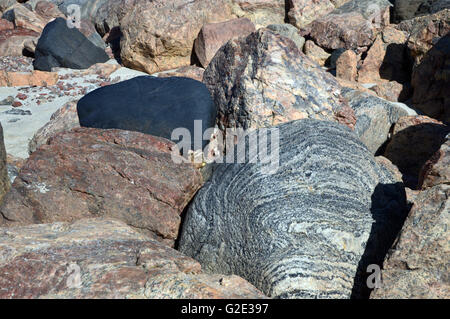 Una Collezione mista di Lewisian Gneiss rocce di Uig Bay (Camas Uig) sul Nord Harris, Ebridi Esterne, Western Isles, Scotland, Regno Unito Foto Stock