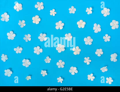 Piatto di laici bella alla moda modello senza giunture fiori bianchi su sfondo blu, close up Foto Stock