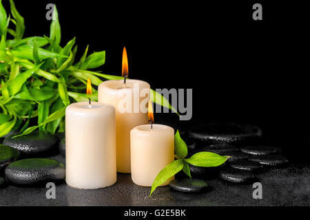 Spa concept di ramoscelli bambù con rugiada e candele su zen pietre di basalto, close up Foto Stock