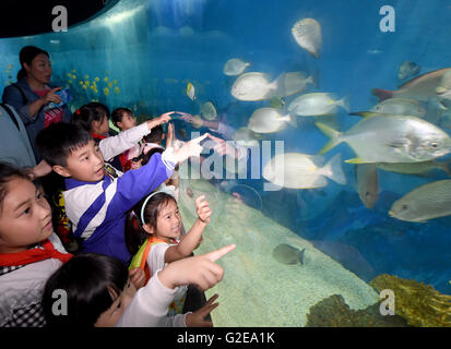 Hefei, cinese della provincia di Anhui. 29 Maggio, 2016. Bambini Watch pesce a Hefei aquarium di Hefei, a est della capitale cinese della provincia di Anhui, 29 maggio 2016. I bambini hanno visitato l'acquario per celebrare la prossima Giornata per i bambini. © Guo Chen/Xinhua/Alamy Live News Foto Stock