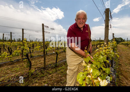 Mike Roberts, all'Ridgeview Estates vigna Ditchling Common, East Sussex. Foto Stock