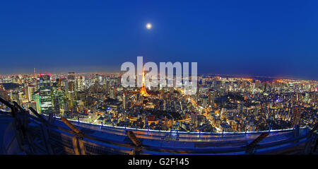 In generale lo skyline della città vista notturna con la Torre di Tokyo di Tokyo, Giappone Foto Stock