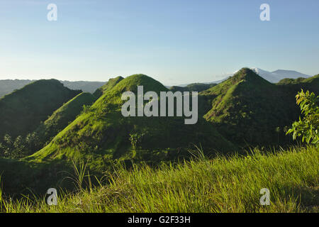 Quitinday verdi colline (carso conico) vicino Camalig nella luce della sera, provincia di Albay, Bicol, Filippine Foto Stock