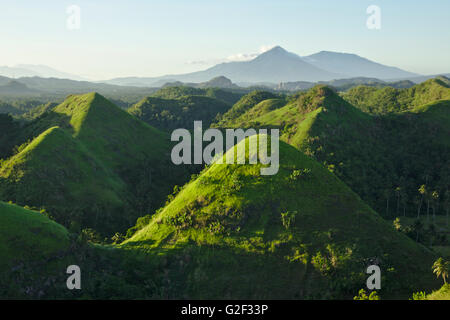 Quitinday verdi colline (carso conico) vicino Camalig nella luce della sera, provincia di Albay, Bicol, Filippine Foto Stock